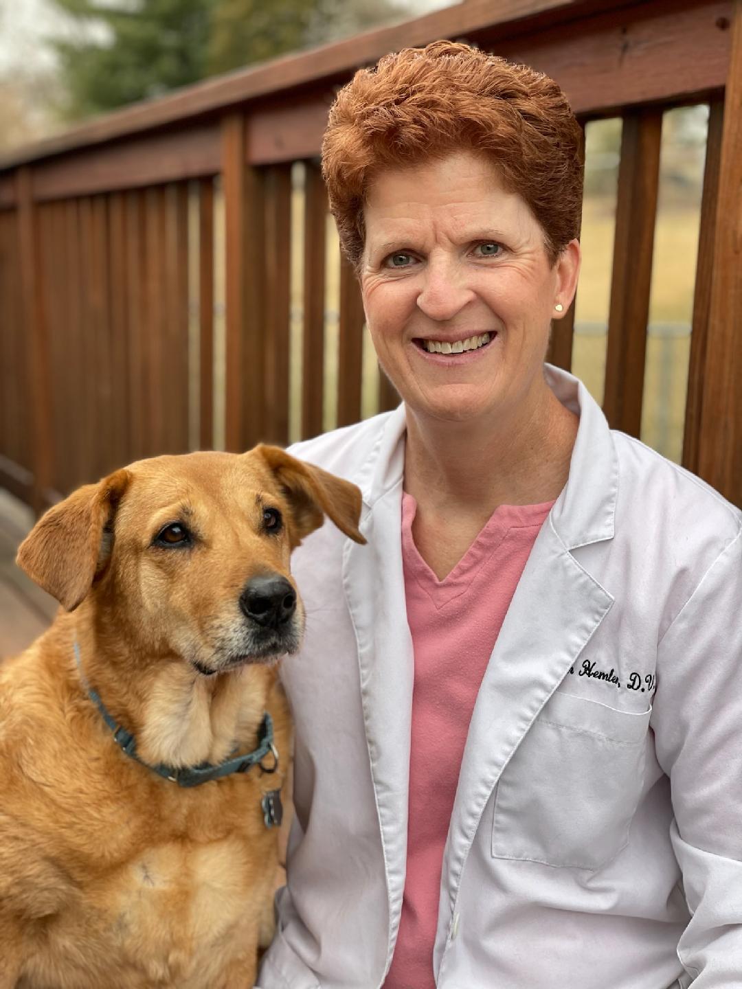 Arnold Veterinarians Arnold Animal Hospital